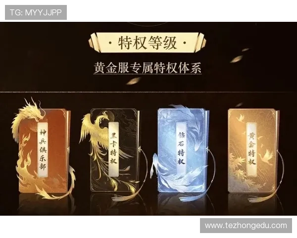 尊贵的ag视讯厅vip会员可以优先参与限时活动和专属优惠