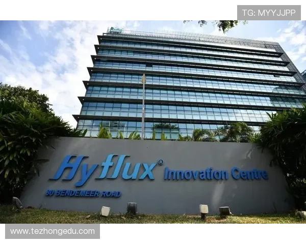 凯发开户技巧分享：掌握这些技巧让你的开户更加顺利高效