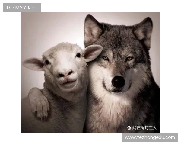 血流成河：这一场关于贪婪与牺牲的真实商业故事