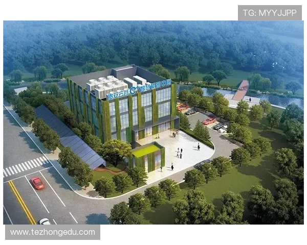 凯发K8官网网页版的用户评价与口碑分析，选择值得信赖的线上游戏平台