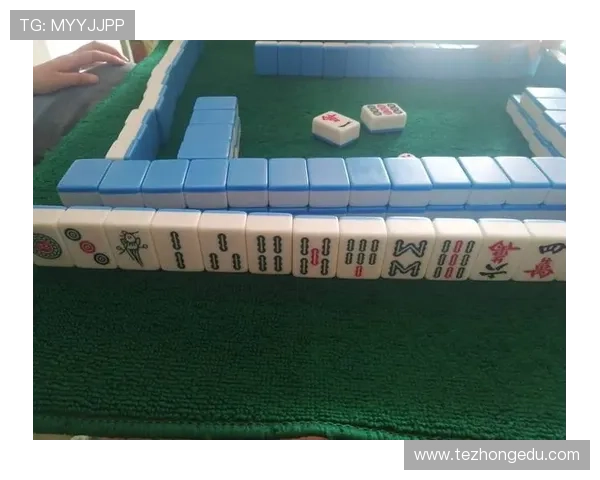 二八杠游戏合集推荐适合新手玩家的入门攻略与实用技巧